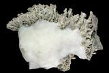 Native Silver Formation in Etched Calcite - Morocco #130775-2